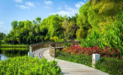 Boardwalks
