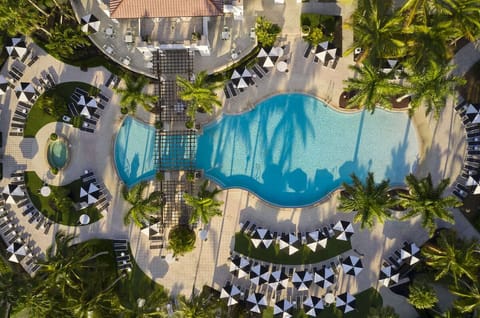 Soak up resort vibes from this stunning aerial pool view.