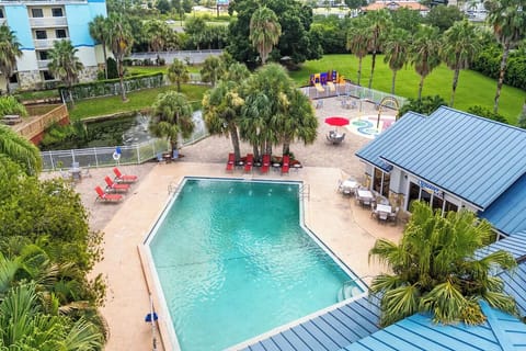 Picture your day from above—pool, loungers, and palm shade.