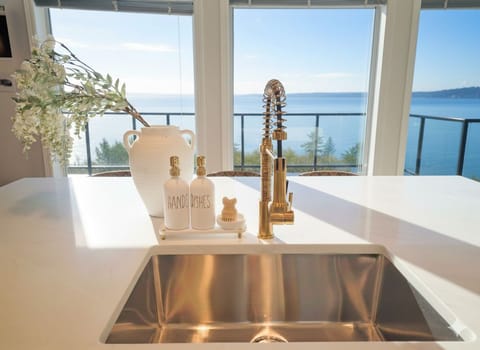 Perching Gull House - Storms & Wildlife Watching Oceanfront View House in Vancouver Island