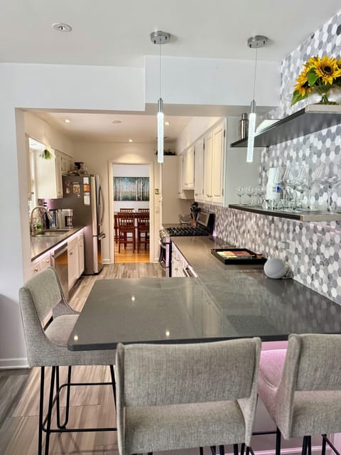 Modern Kitchen with LED lights, just say, “Alexa turn on kitchen”