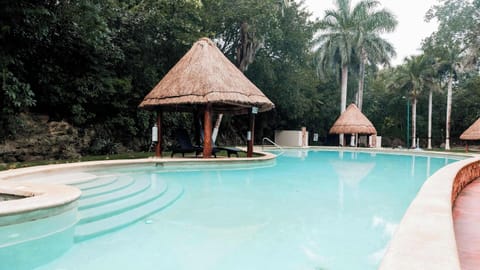 Shared pool, with views to the garden 