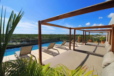 Rooftop pool with sun loungers 