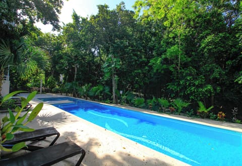 Shared Swiming Pool