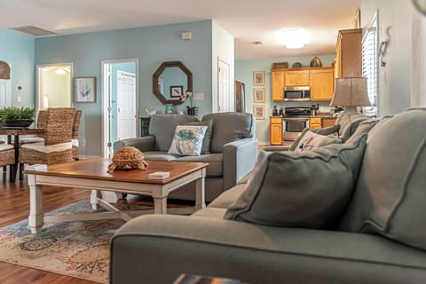Living room and kitchen