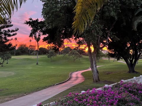 View from the Patio
