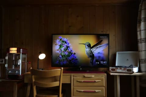 Television