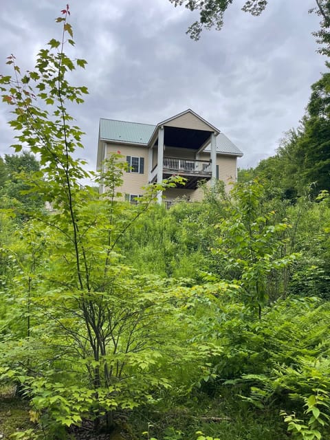 View of House from the Dog River Below
