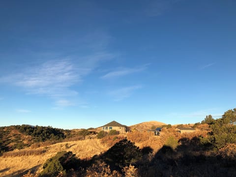 Architectural low profile of the house does not offend the landscape environment