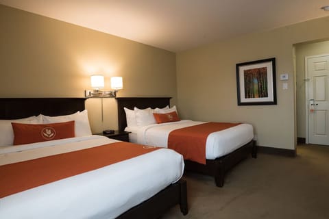 Share the space comfortably with two beds and soft bedding.