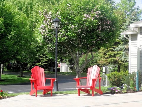 Sip coffee in Adirondack chairs surrounded by leafy greenery.