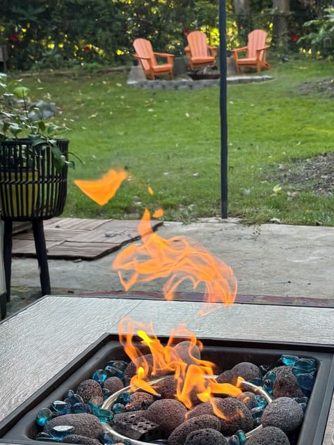 Two Fire pits- propane & wood