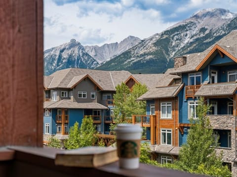 Stunning Mountain view from the unit