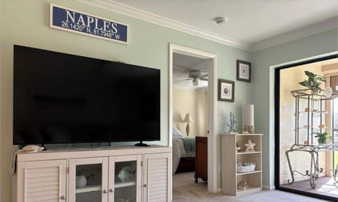 65" smart tv in the living room