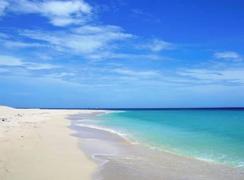 Sandy Point