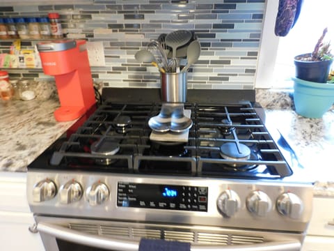 5 burner gas stove with convection