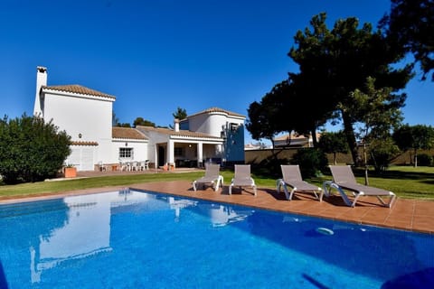 Garden and swimming pool