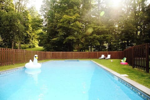 20'x50' salt water swimming pool with lounge deck