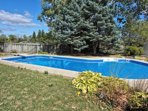 Pool at ground view
