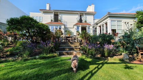 View of rear of house from garden with steps up to terrace