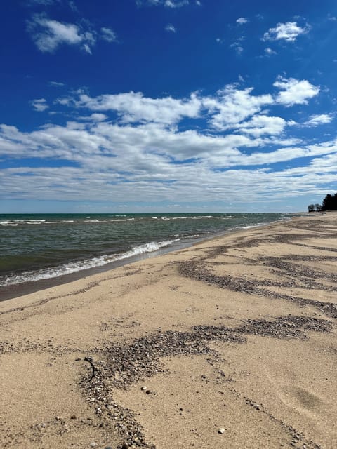 Gorgeous sandy beach! 
130 ft of frontage.