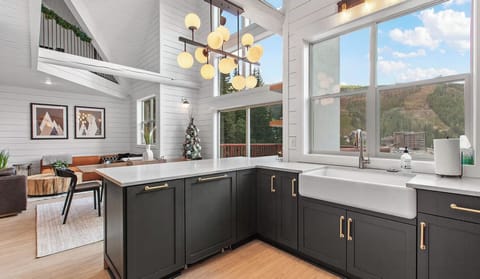 The living space connected to kitchen with dramatic Schweitzer Mtn Views!