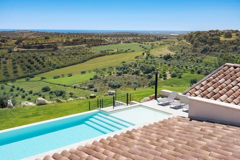 Garden, Outdoor, Pool