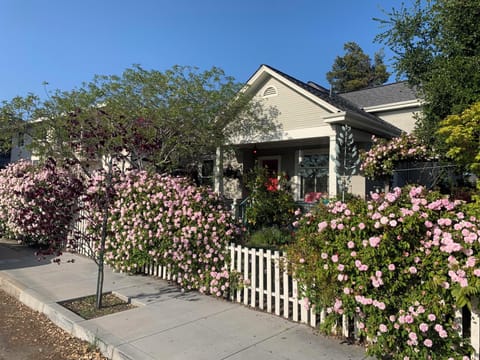 The Honey House surrounded by Cecil Bruners