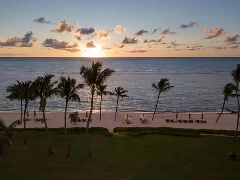 Watch dawn light glow over palms and a quiet beach.