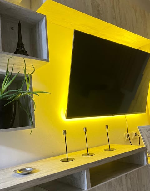 Television