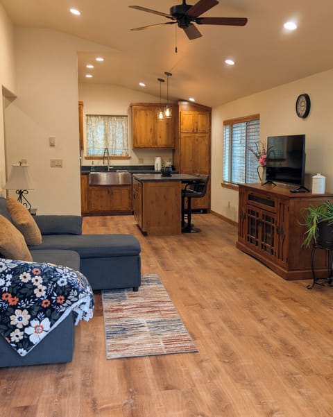 Living room and kitchen