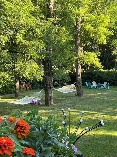 Rear yard - hammocks & fire pit