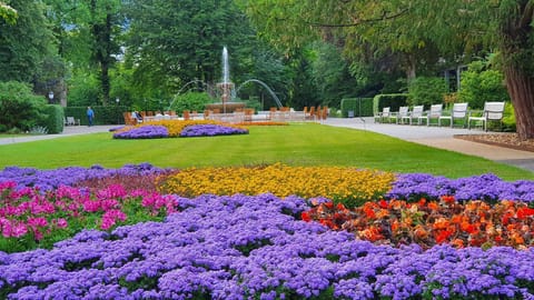 Outdoor banquet area