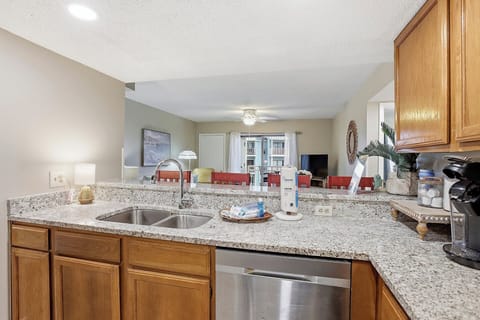 Kitchen sink and dishwasher