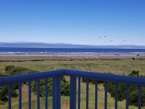 The most stunning, panoramic ocean views on the Peninsula