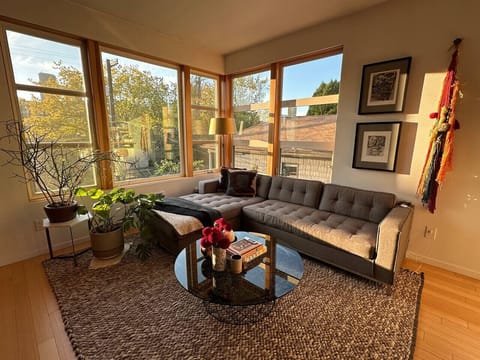 Light filled living area