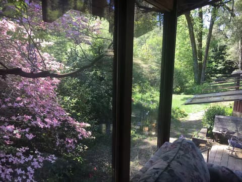 View out upstairs  windows