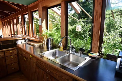 Sink and views out kitchen windows