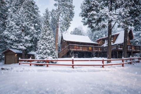 Peaceful mountain retreat surrounded by tall pines and seasonal snowfall.