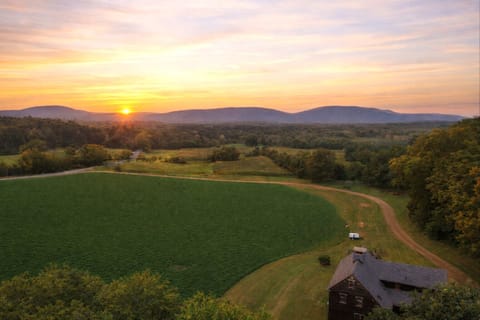 Welcome to Copper Kettle Farm!