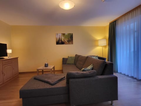 Furniture, Interior Design, Couch, Flooring, Floor, Wood, Room, Living Room, Lighting, Ceiling