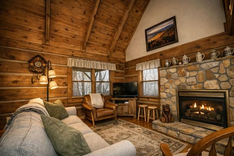 Living room with gas fireplace
