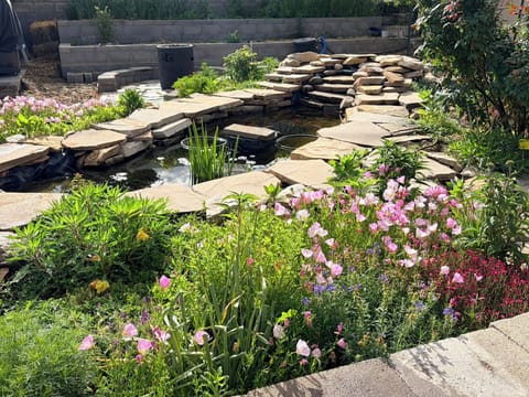 Backyards 