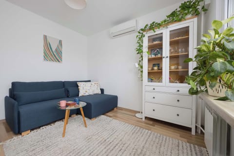 Bright living room with a blue sofa, white furniture, indoor plants, and soft natural light.