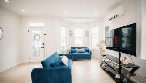 Living room with two sleeper sofas