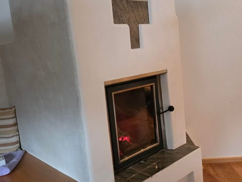 Feines Alpennest - apartment/apartment, shower, 1 bedroom Apartment in Salzburgerland