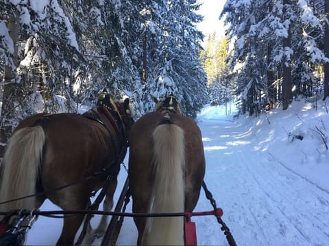 Apartment Familienzeit - apartment/apartment, bathroom, WC, 4 bedrooms Apartment in Schladming