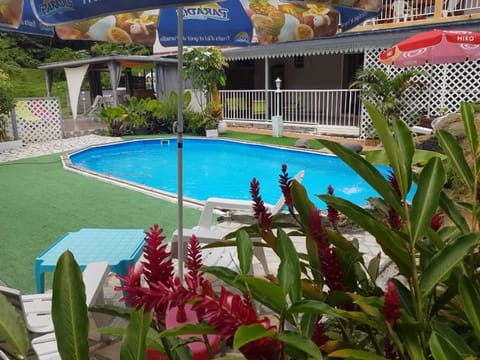 Swimming pool view