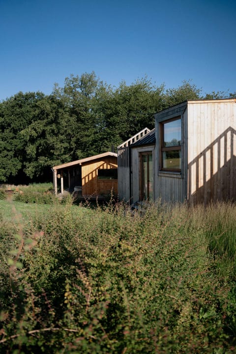 Overview of the Cosy Cabins and the Foyer, nestled in the heart of nature
