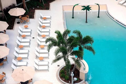Unwind poolside with palm shade and plenty of loungers.